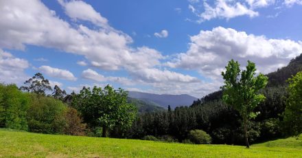 Detox 21 días en Asturias